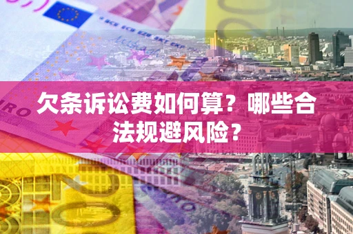 北京欠条诉讼费如何算？哪些合法规避风险？